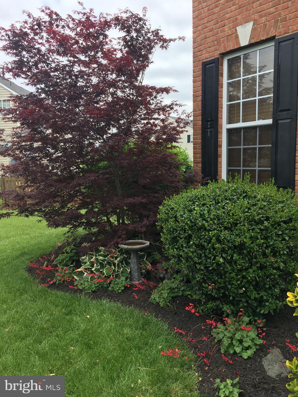 CHAPEL VIEW - Residential