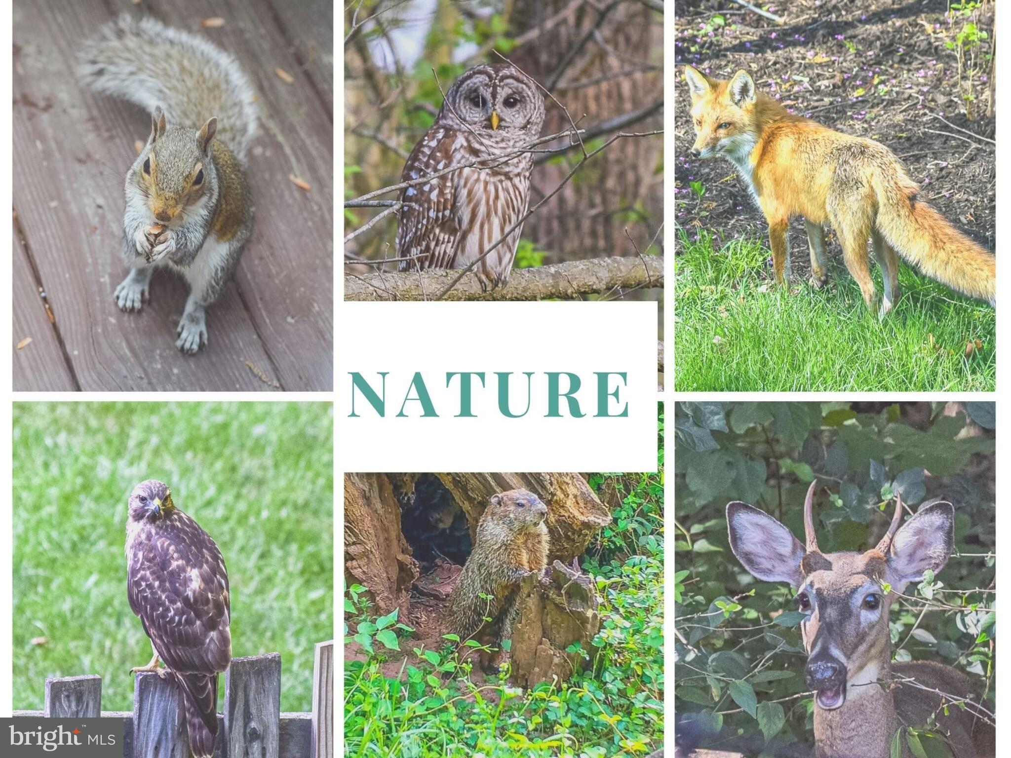 ASHBURN MANOR - Residential