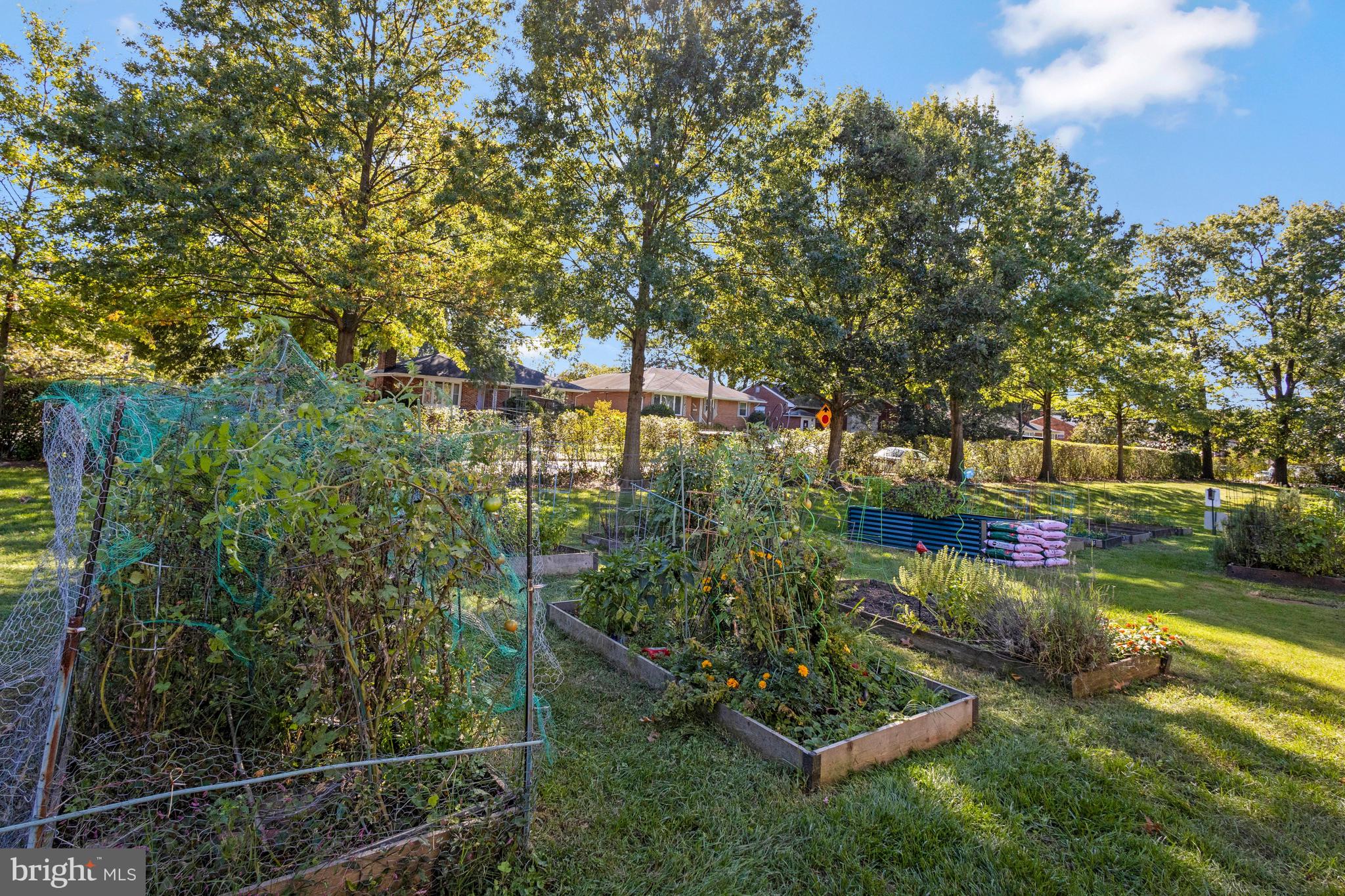 ARLINGTON OAKS - Residential