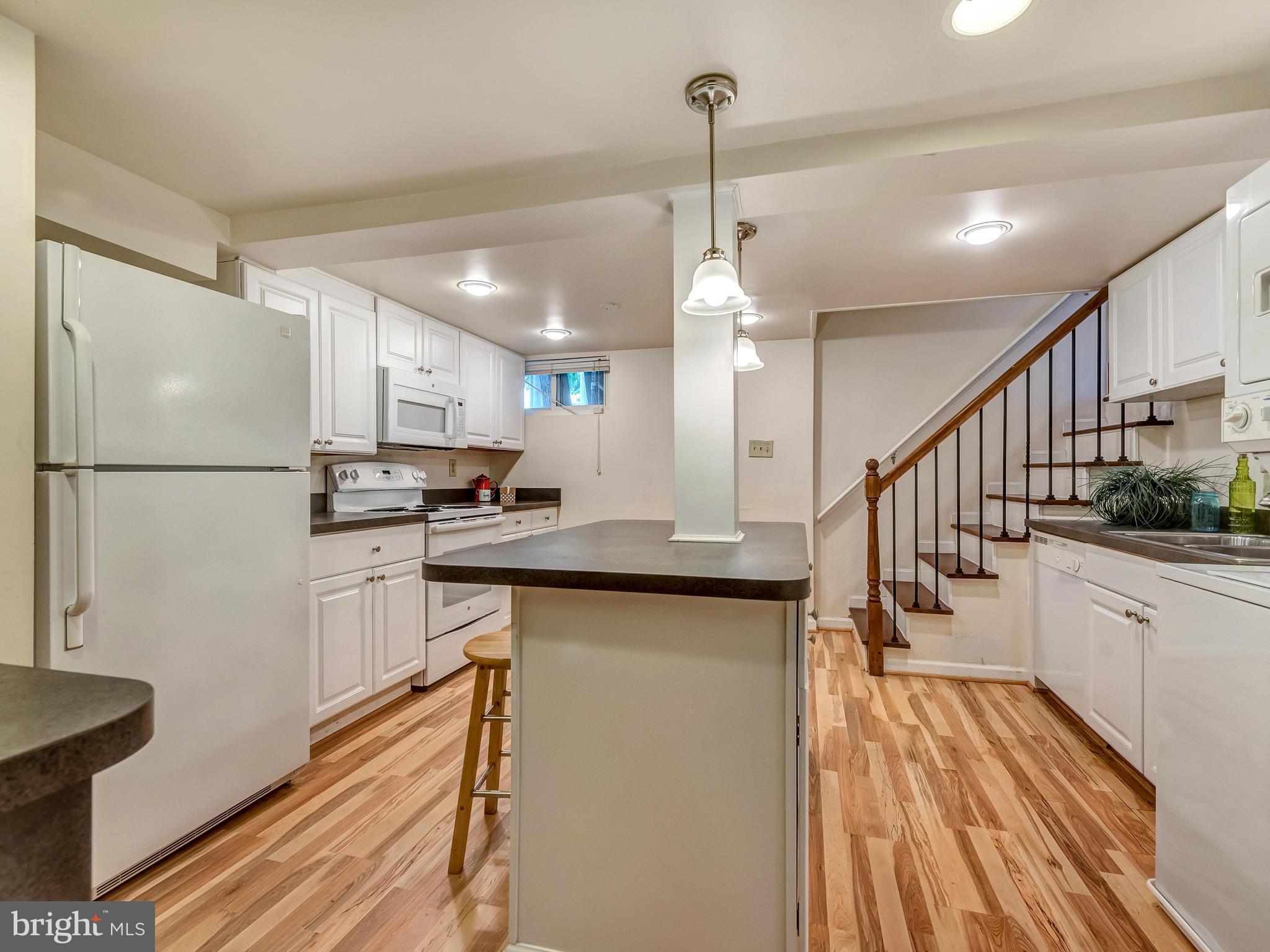 DOWNTOWN FREDERICK - Residential