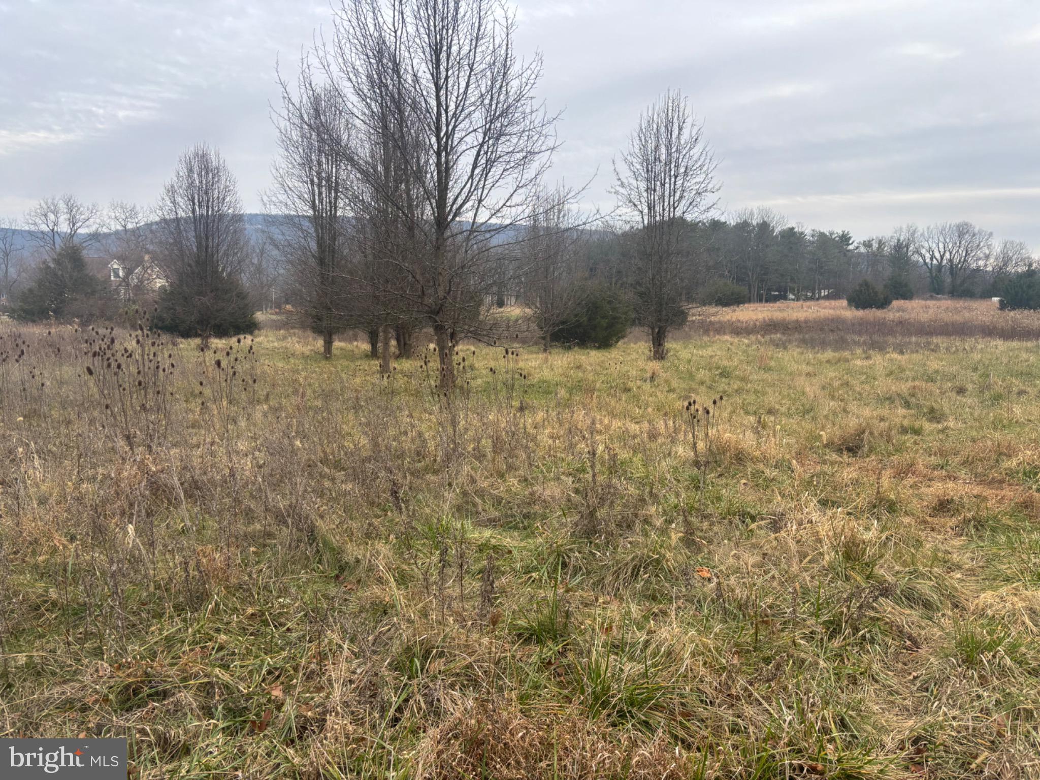 9529 CHILDACREST DRIVE