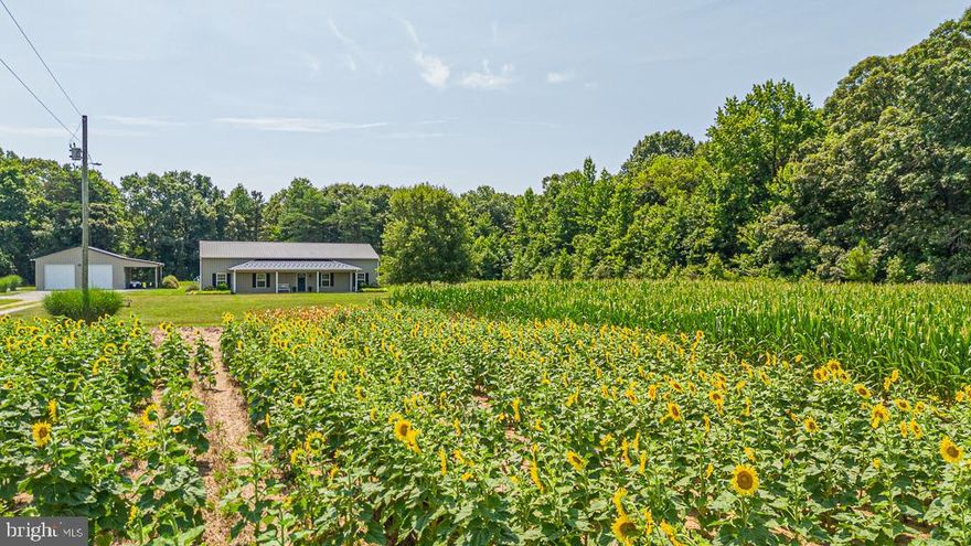 Welcome Home to this stunning 3-bedroom, 2-bathroom custom ranch-style barndominium in Warsaw, VA, offering 1,800 sq. ft. of beautiful living space. Situated on 23 acres, this property is a dream for those seeking privacy, open space, and rural charm while remaining just minutes from town amenities. Step inside to a spacious living room, featuring a cozy gas fireplace with a shiplap surround, a custom mantle, and built-in shelving—the perfect centerpiece for relaxation. The kitchen features a large center island that provides extra prep space, seating, and storage—ideal for casual meals, entertaining, or gathering with family. With an open layout, the kitchen flows seamlessly into the dining and living room, making it easy to stay connected while cooking. The master bathroom is a retreat, boasting a soaking tub to unwind after a long day. Outside, enjoy 23 acres of both cleared, actively farmed land and a beautiful mix of timber in the back, offering endless possibilities for farming, recreation, or privacy. The property also includes an oversized detached garage with a lean-to, ideal for storage, equipment, or a workshop. Host gatherings on the rear patio perfect for entertaining family and friends, or start your mornings with coffee on the large front porch, soaking in the peaceful country views. This property offers the best of both worlds—a quiet, private setting with the convenience of nearby shops, restaurants, and amenities. Whether you're looking for a forever home, a hobby farm, or a retreat from the hustle and bustle, this home is a must-see!