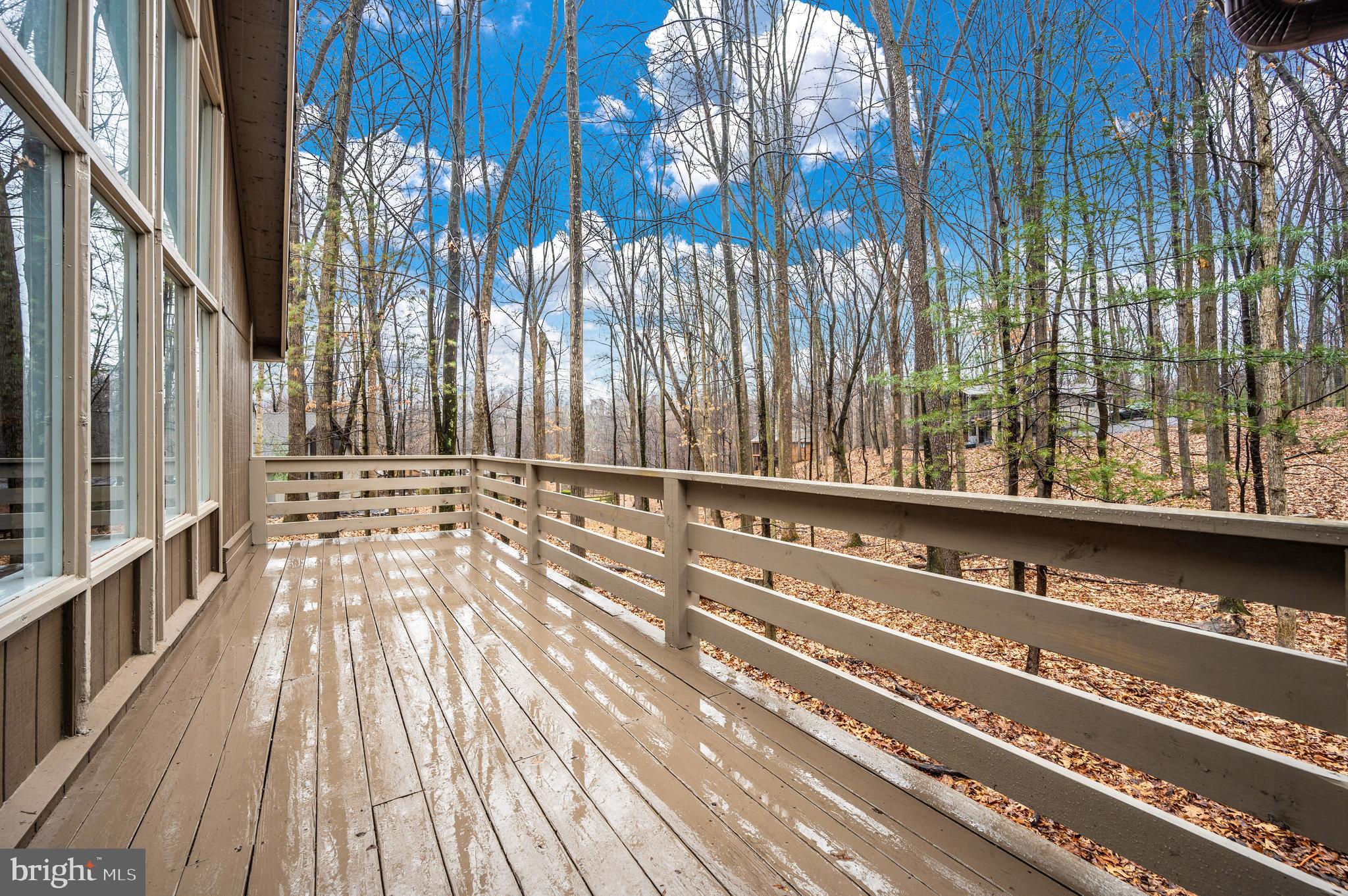 THE WOODS - Residential