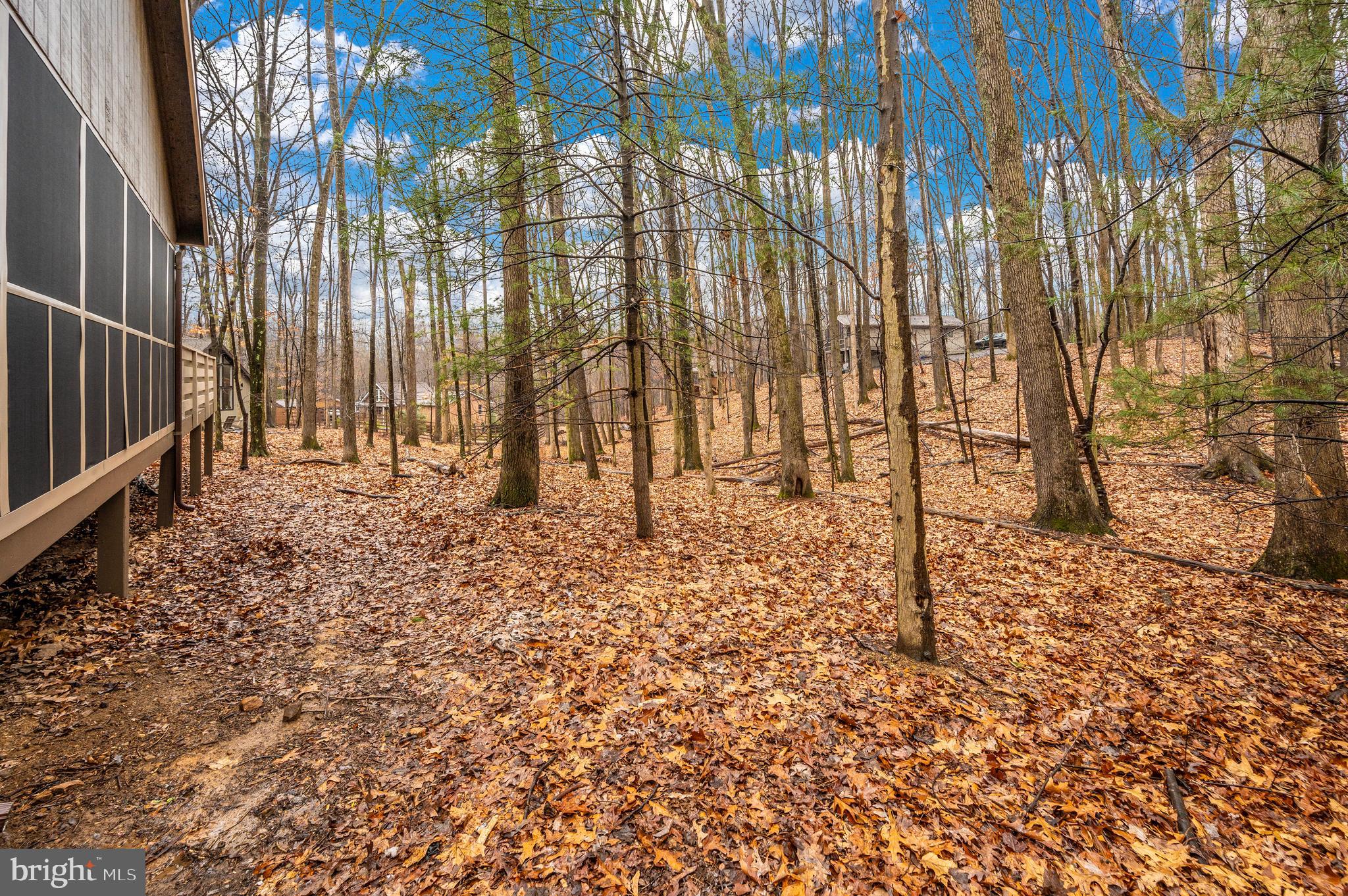 THE WOODS - Residential