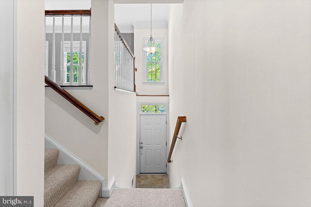 1627 WHITEHALL DRIVE