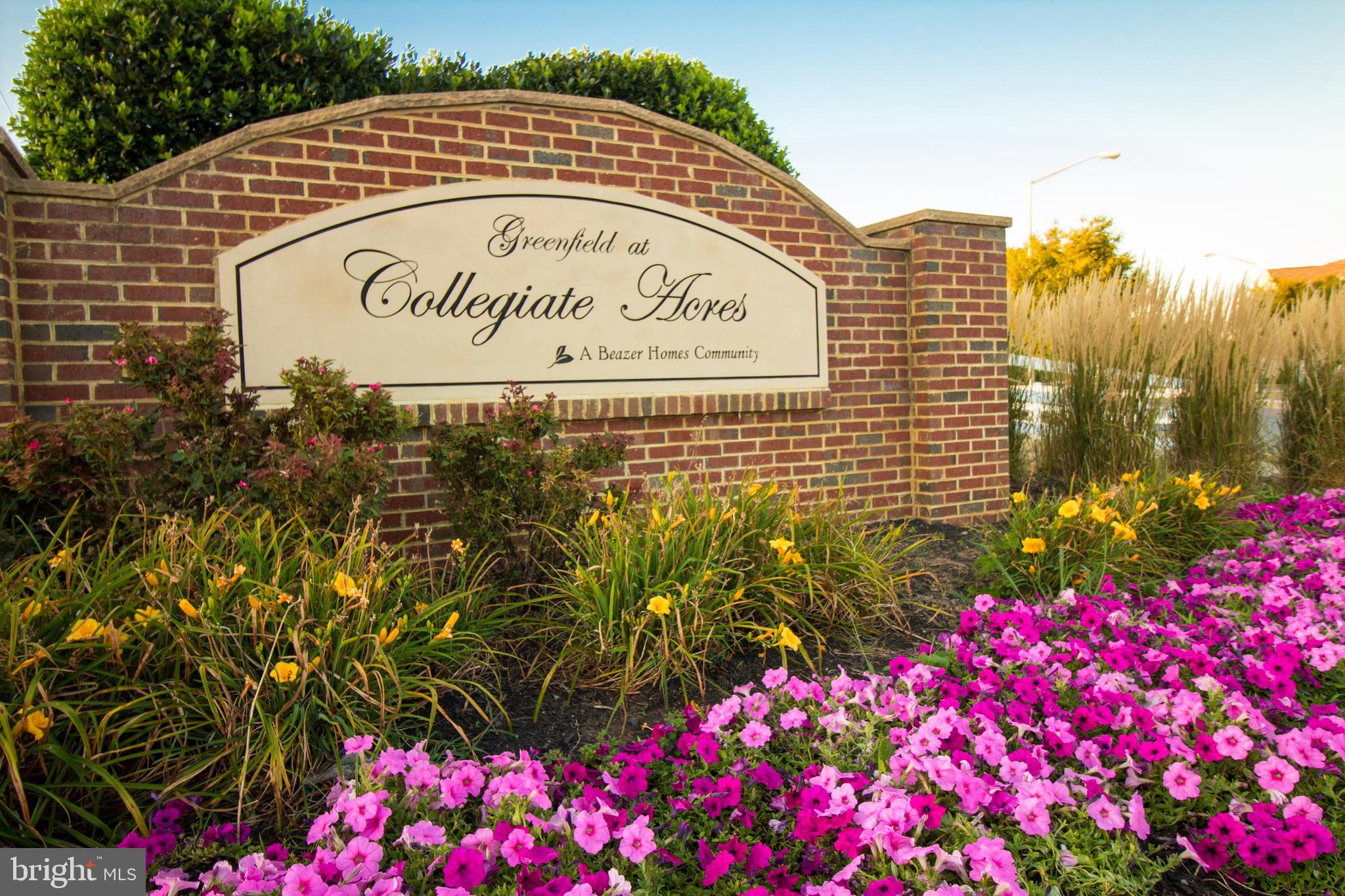 18113 DEMON DEACON COURT