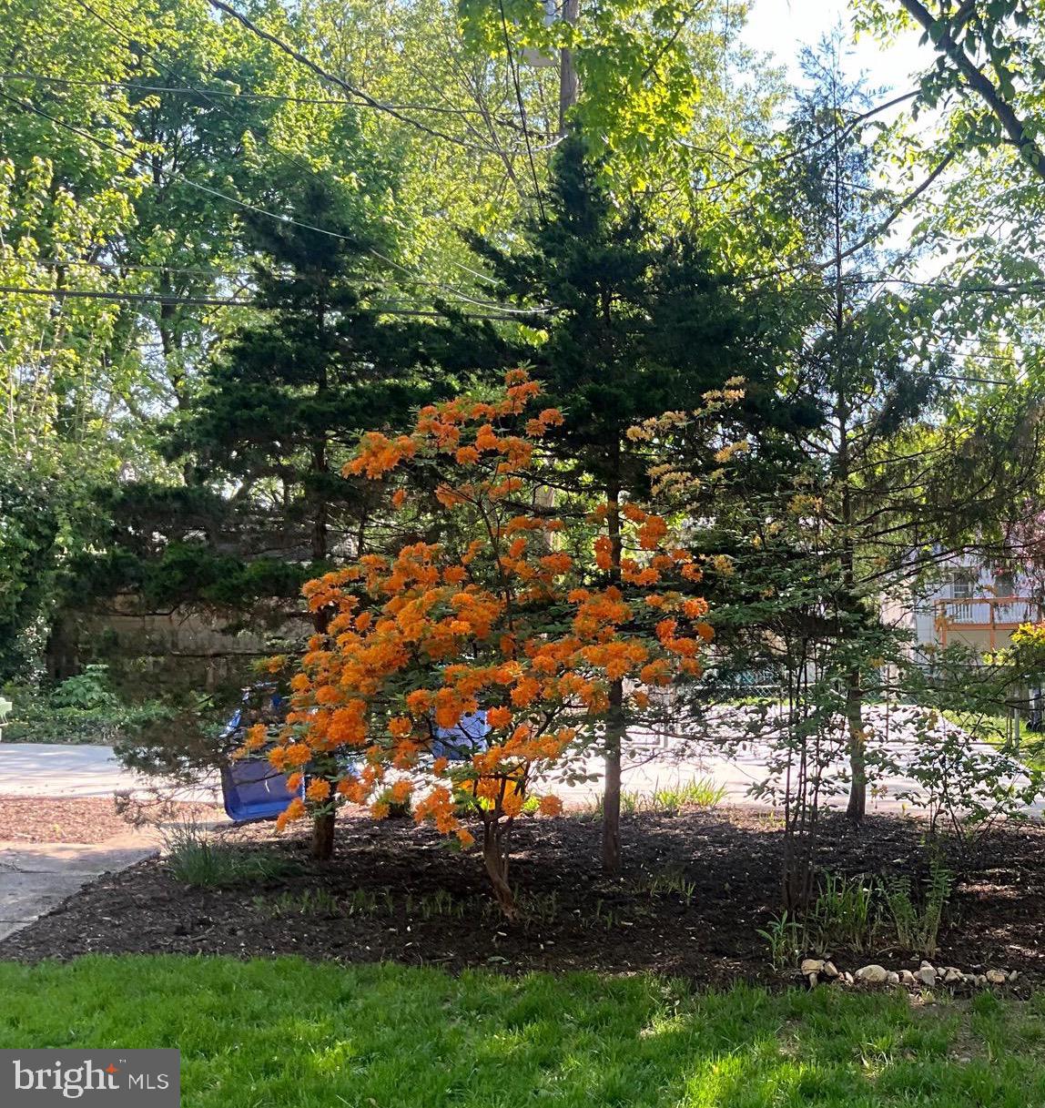 ROLAND PARK - Residential