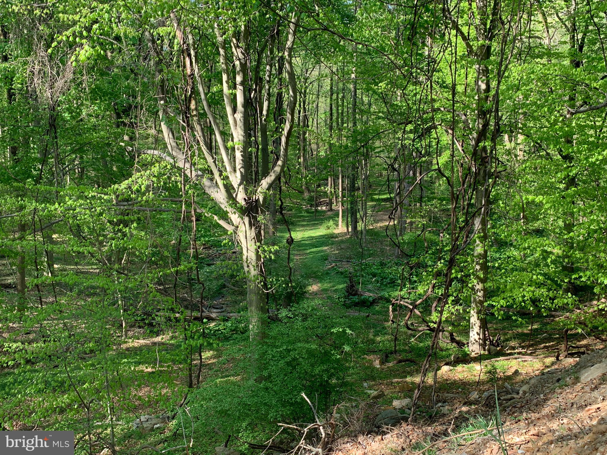 L:415 CEDAR GROVE ROAD