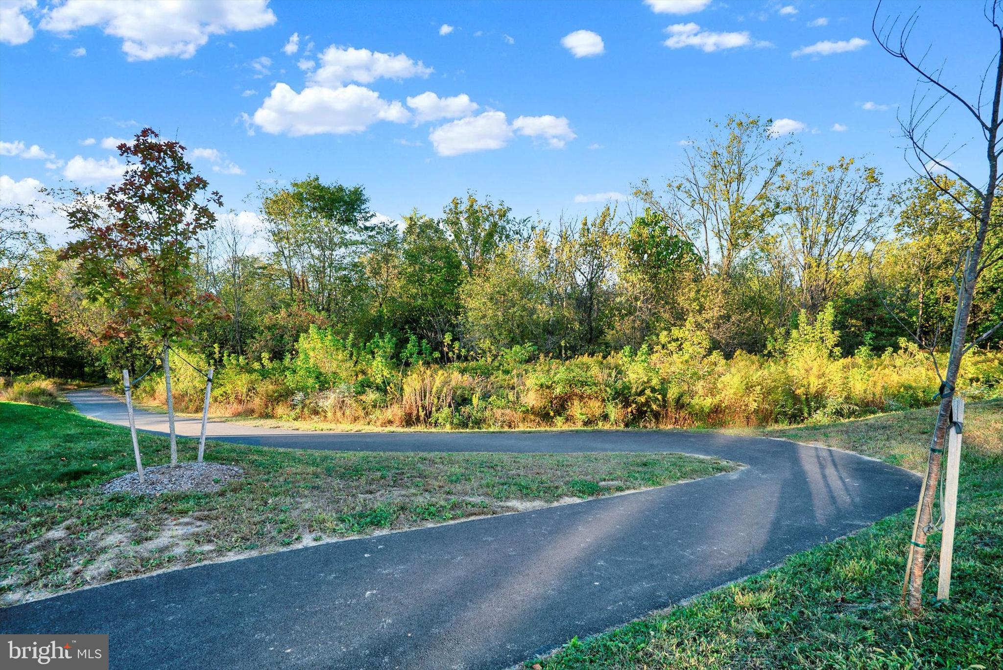 THE FIELDS AT CONSTITUTION SQUARE - Residential