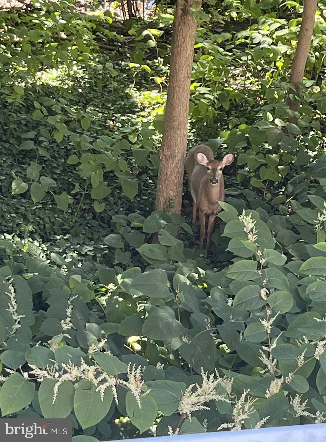 KEDRON STATION - Residential