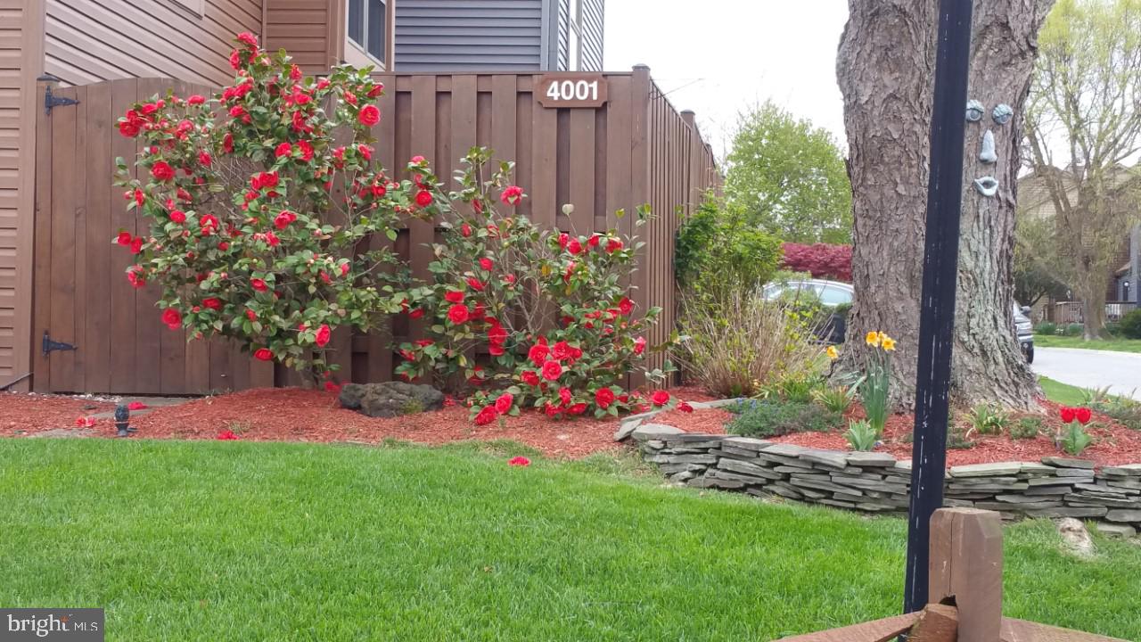 CHESAPEAKE STATION - Residential