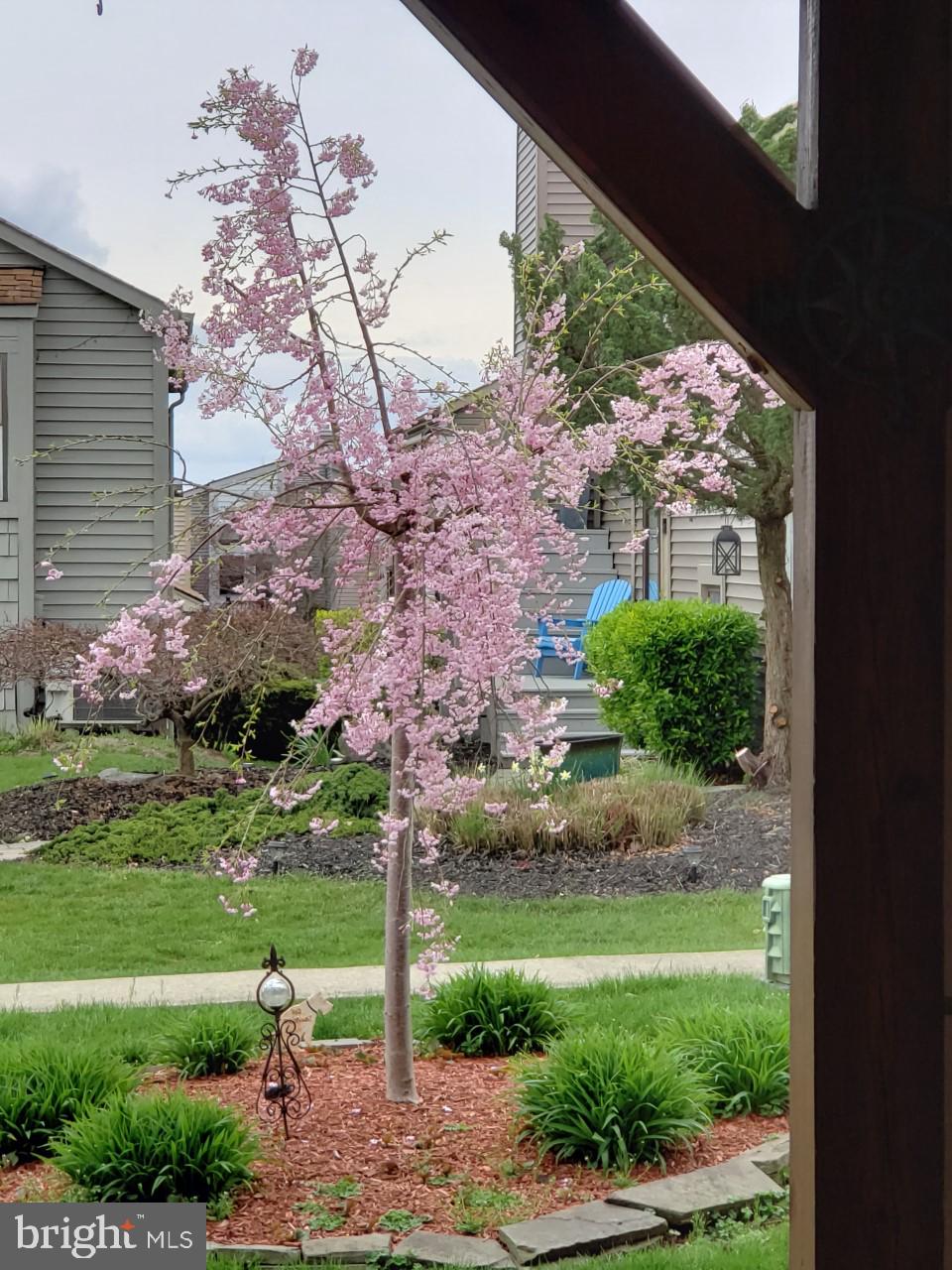 CHESAPEAKE STATION - Residential