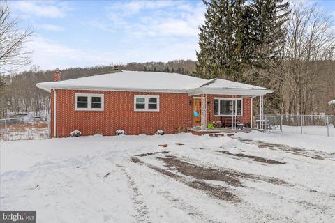 107 SHADE HOLLOW ROAD GRANTSVILLE MD 21536