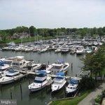 BAYSIDE - Residential