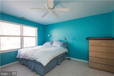 BAYSIDE - Residential