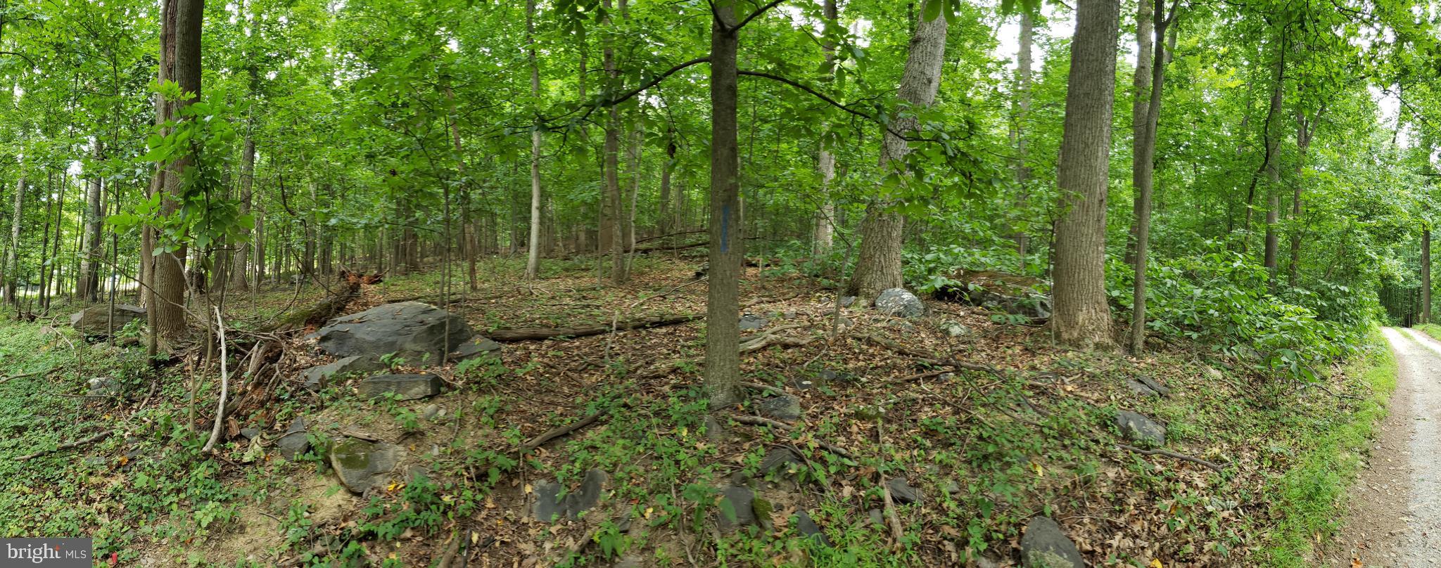 NONE AVAILABLE - Land