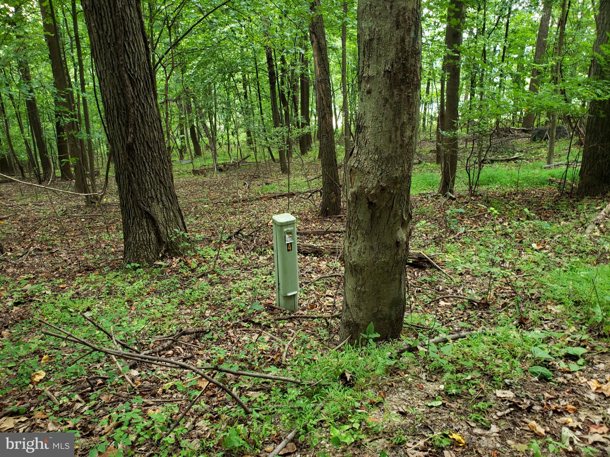 NONE AVAILABLE - Land