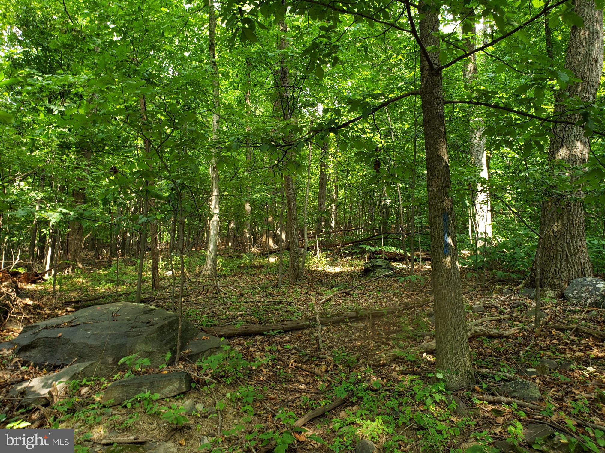 NONE AVAILABLE - Land