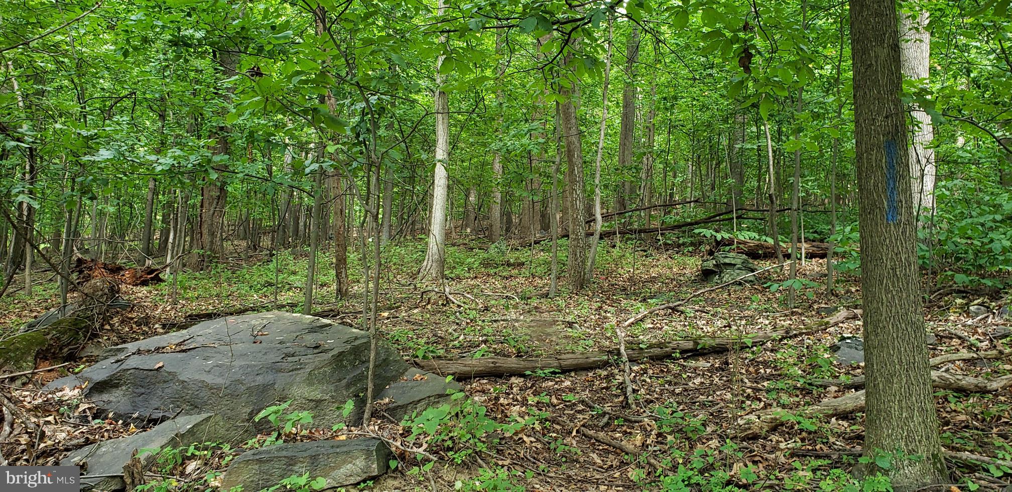 NONE AVAILABLE - Land