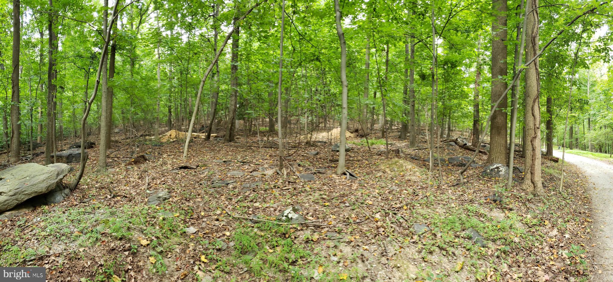 NONE AVAILABLE - Land