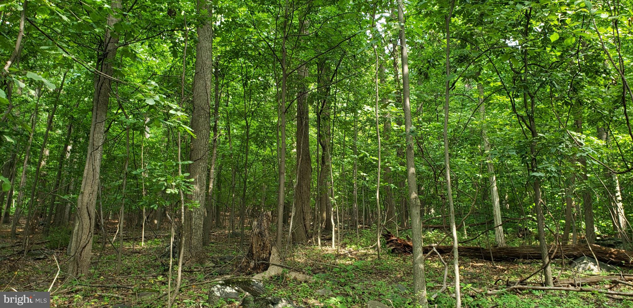 NONE AVAILABLE - Land