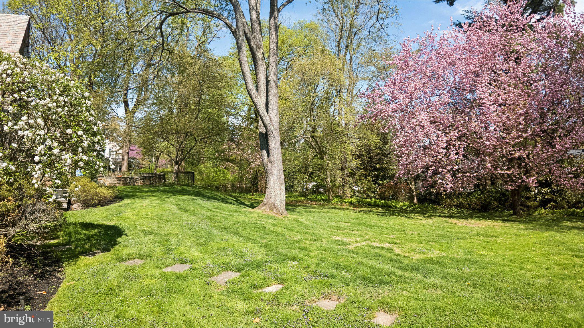 BRYN MAWR - Residential