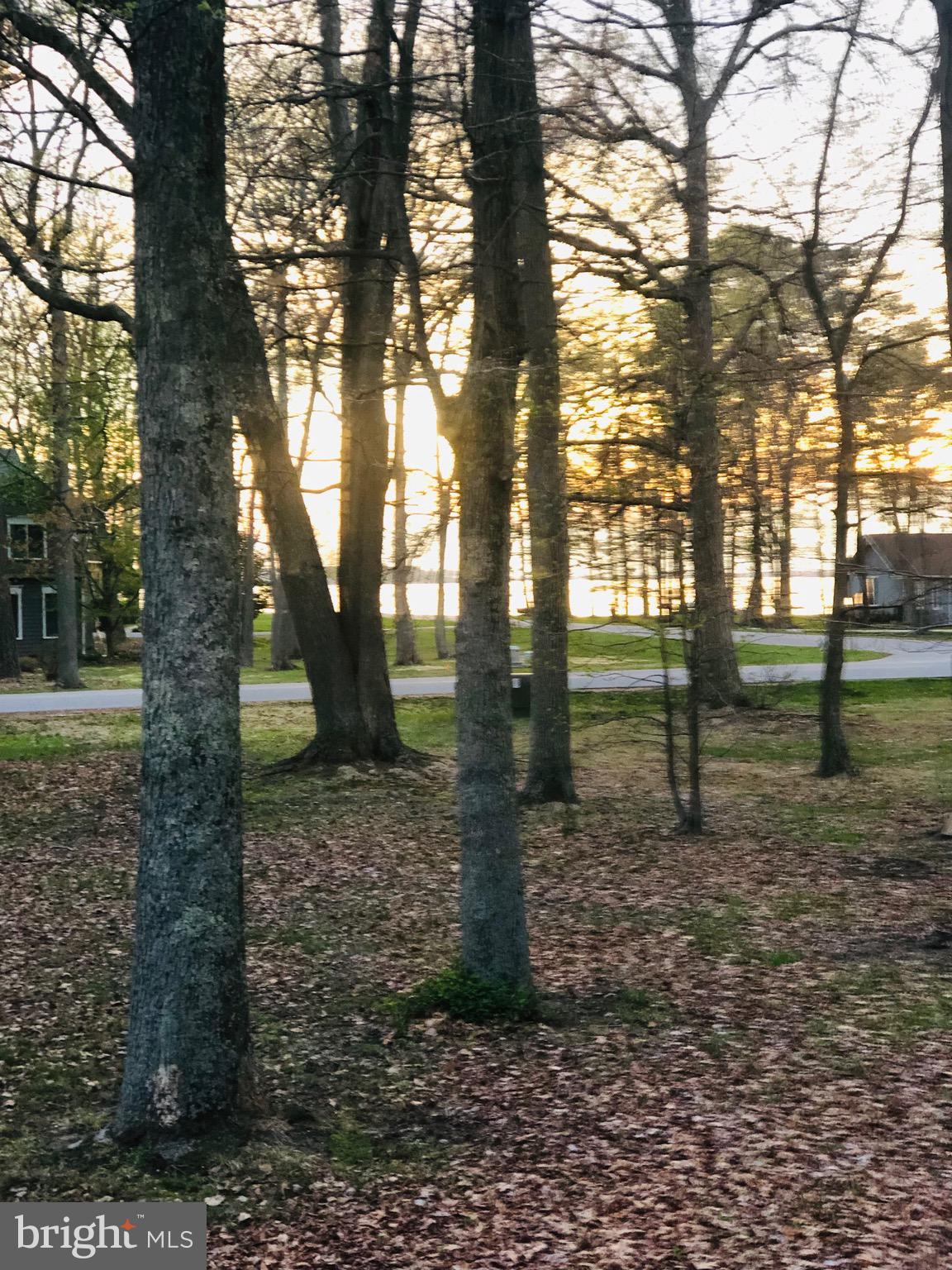 42 PROSPECT BAY DRIVE W