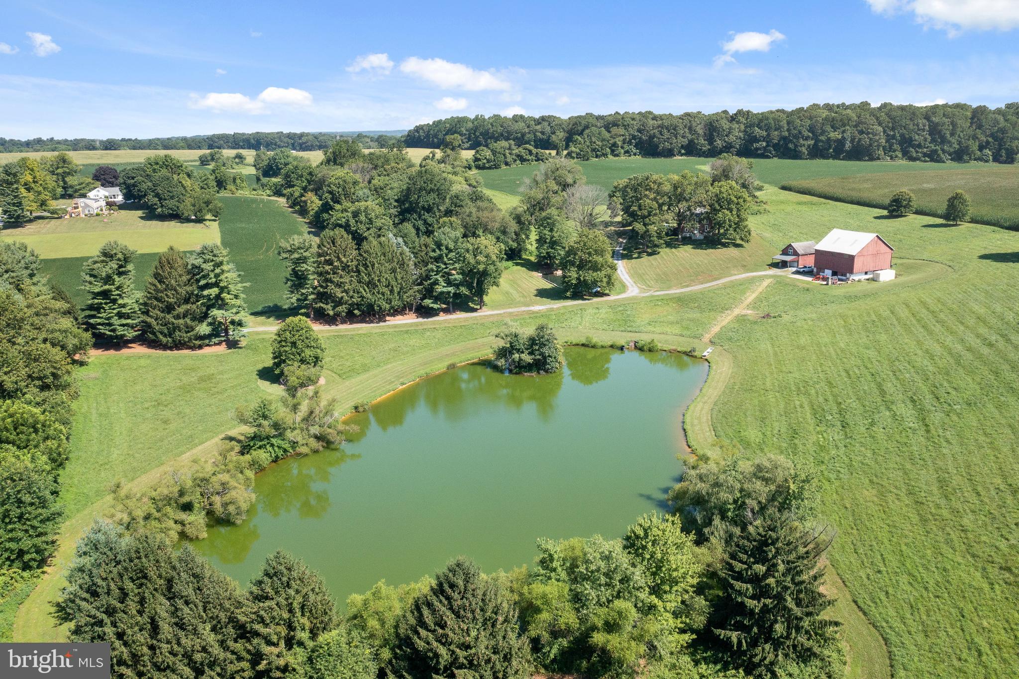 CHESHIRE HUNT - Farm