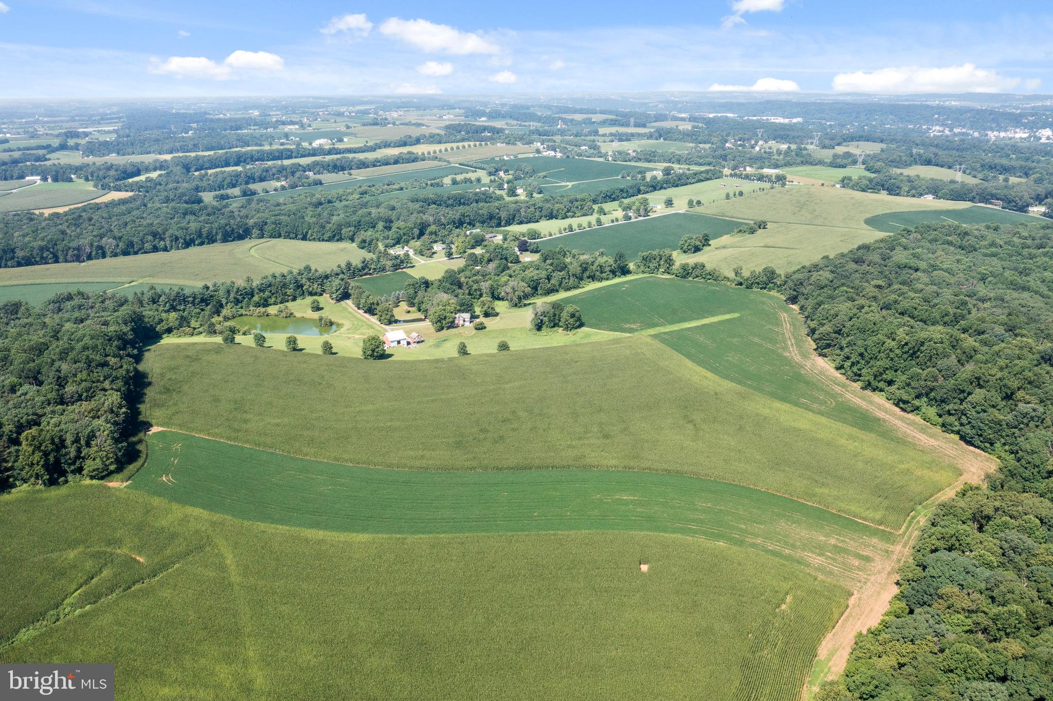 CHESHIRE HUNT - Farm