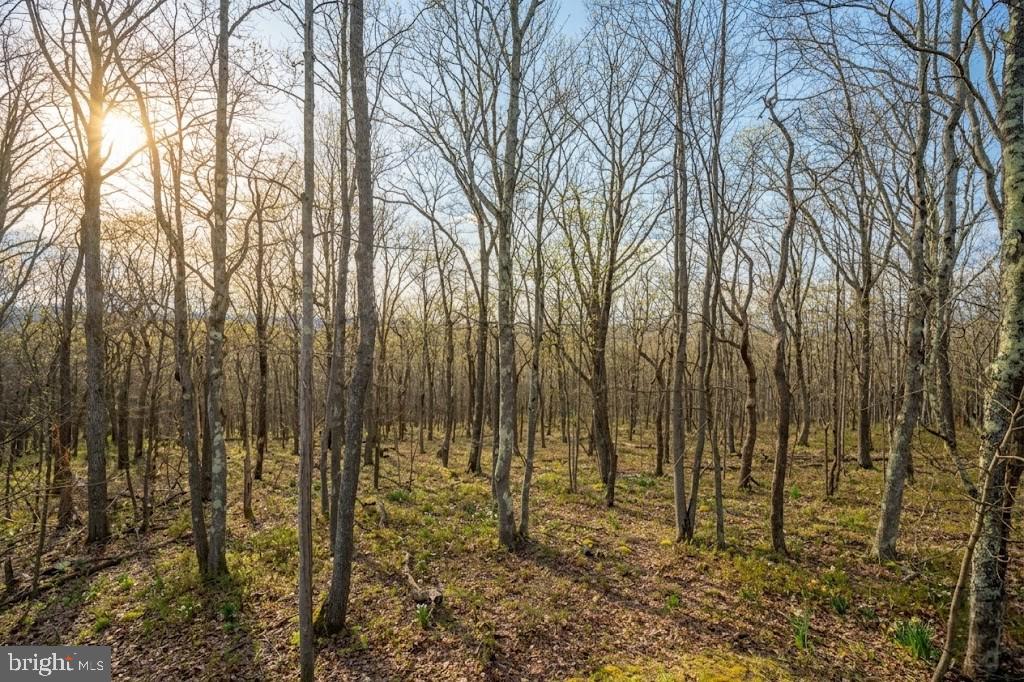 TIMBERS ON THE YOUGH - Residential