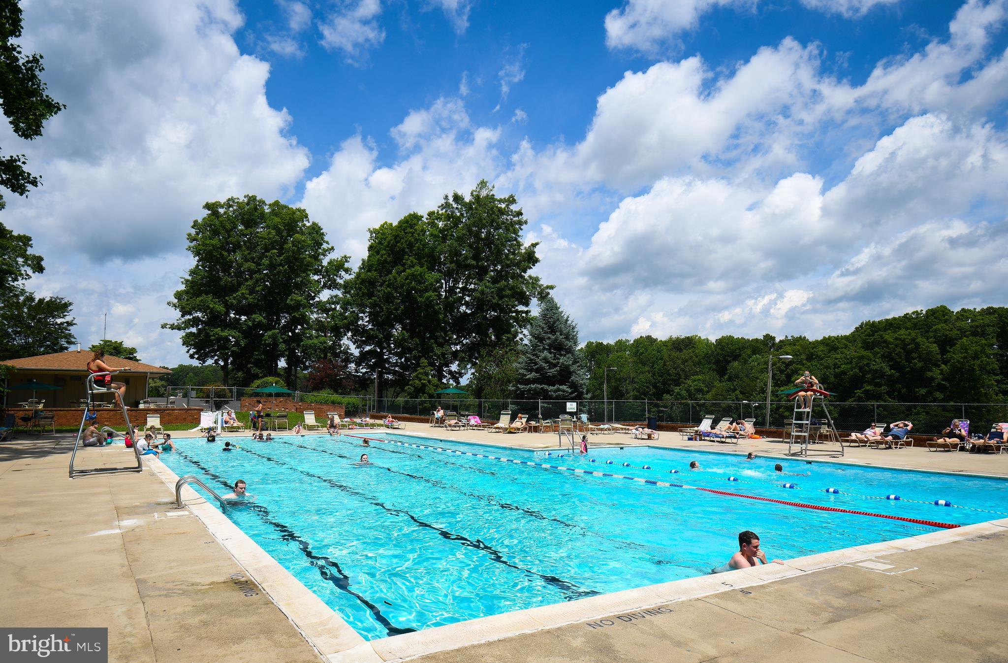 LAKE OF THE WOODS - Land