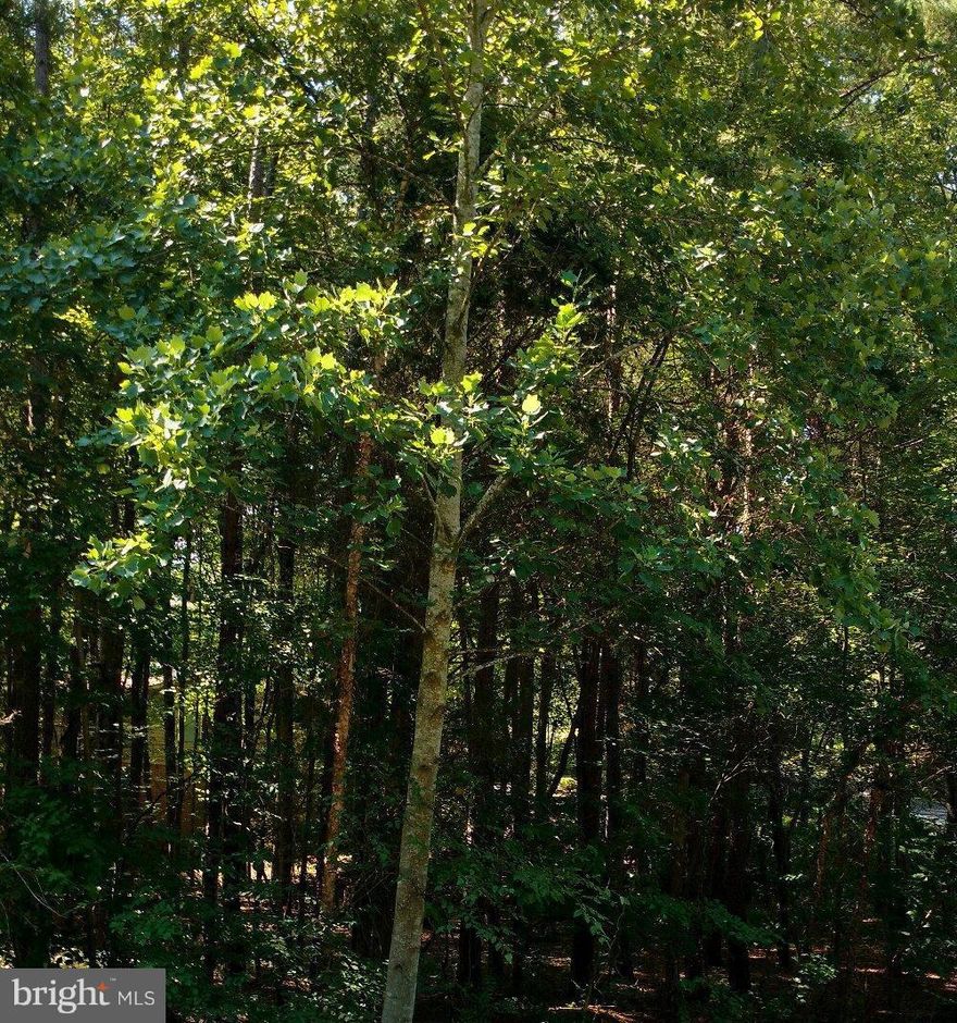 Imagine your dream home here! Beautiful wooded lot near Keaton Lake in amenity rich Lake of the Woods. You will love the lifestyle: swim from the beach, jump in the pool, trail ride from the Equestrian Center, play a round of golf, work out at the fitness center, play a round of golf, or dine at the clubhouse overlooking the pristine lake white taking in an amazing sunset.