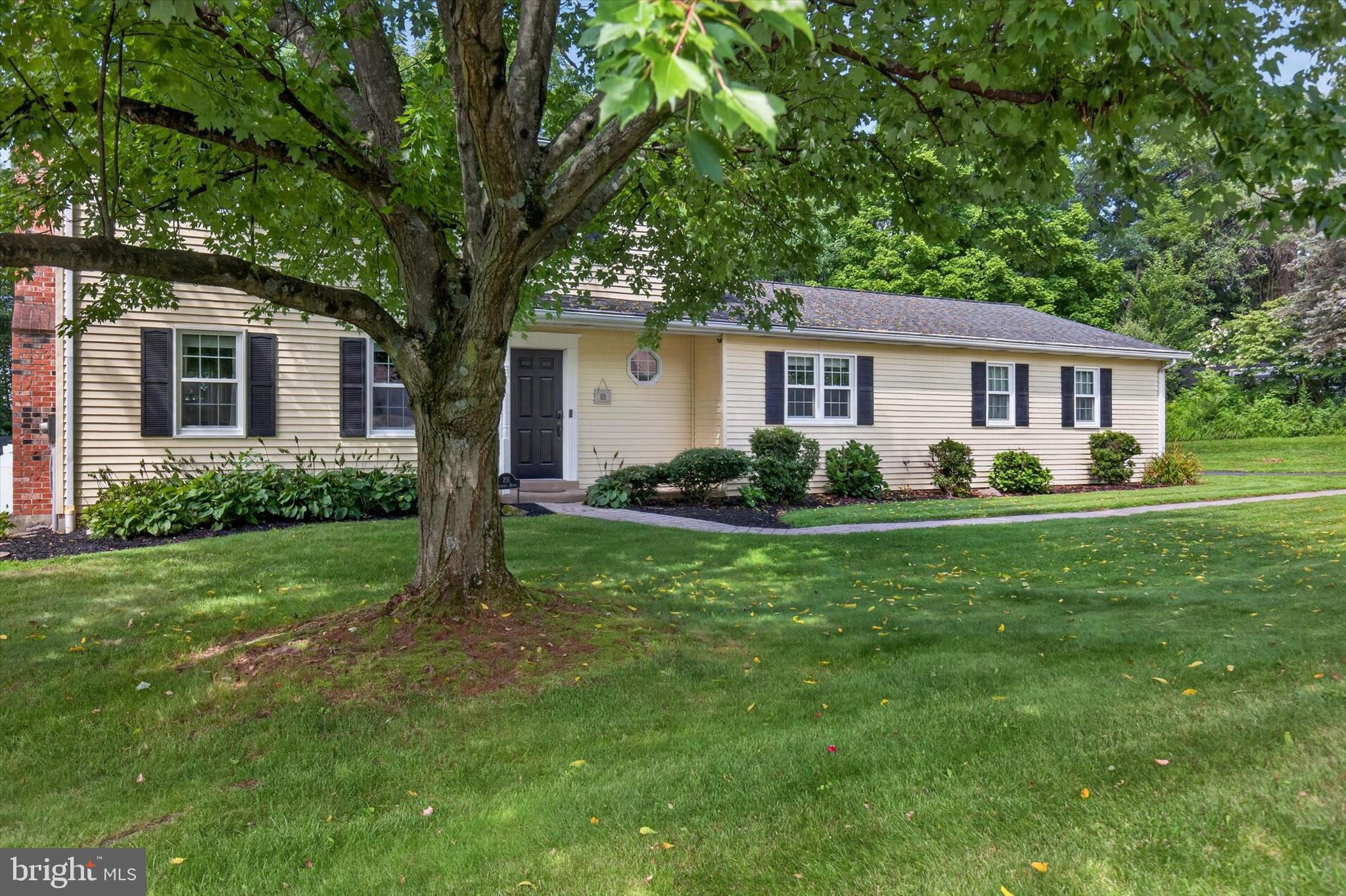 231 DOGWOOD DRIVE