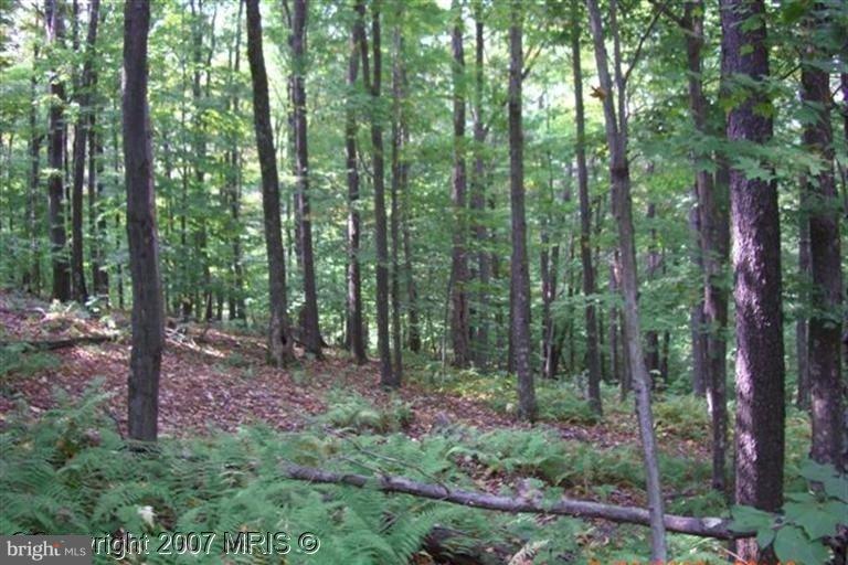 NONE AVAILABLE - Land