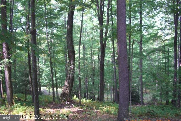 NONE AVAILABLE - Land