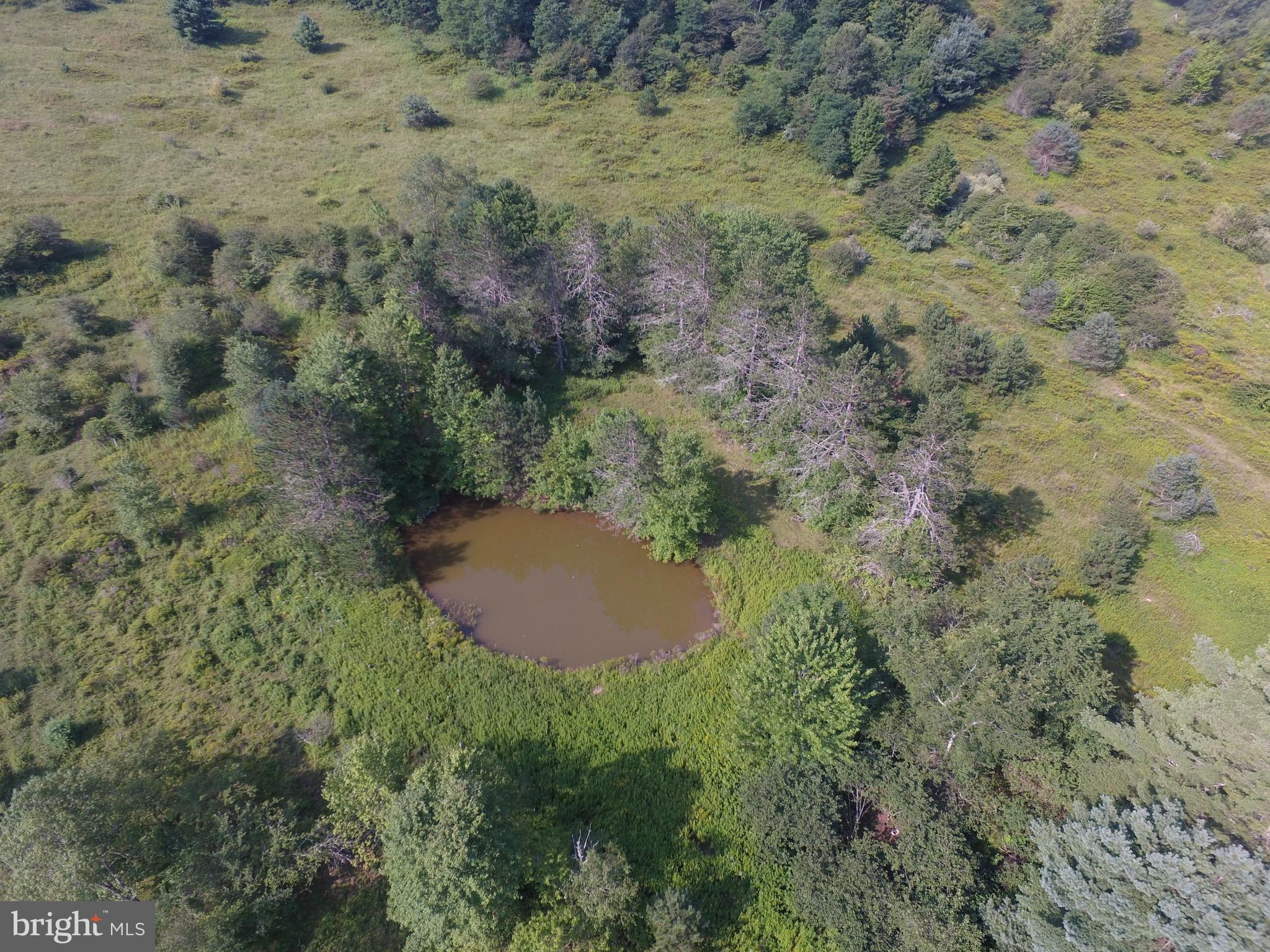 NONE AVAILABLE - Land