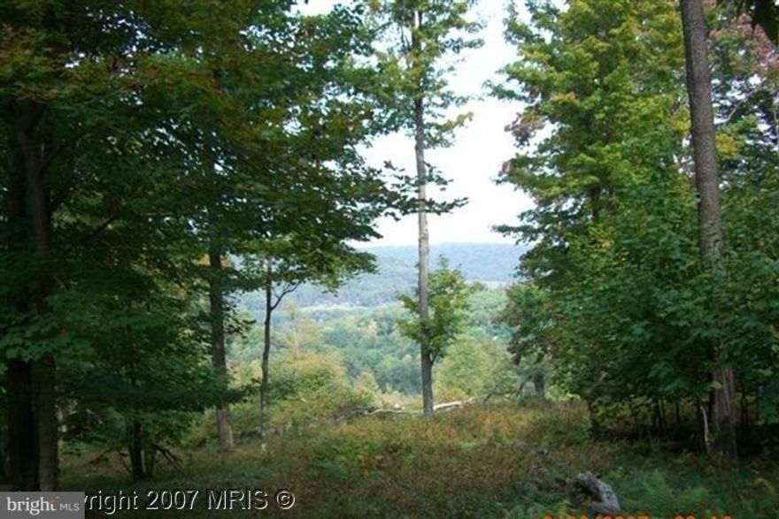 50 acres that has it all! Woods, pond, creek, fields, and big mountain views. Great location between Deep Creek Lake and Canaan Valley Resort. Thomas & Davis WV are only a few minutes away too.  Definitely off the beaten path and the perfect Appalachian Mountain escape.