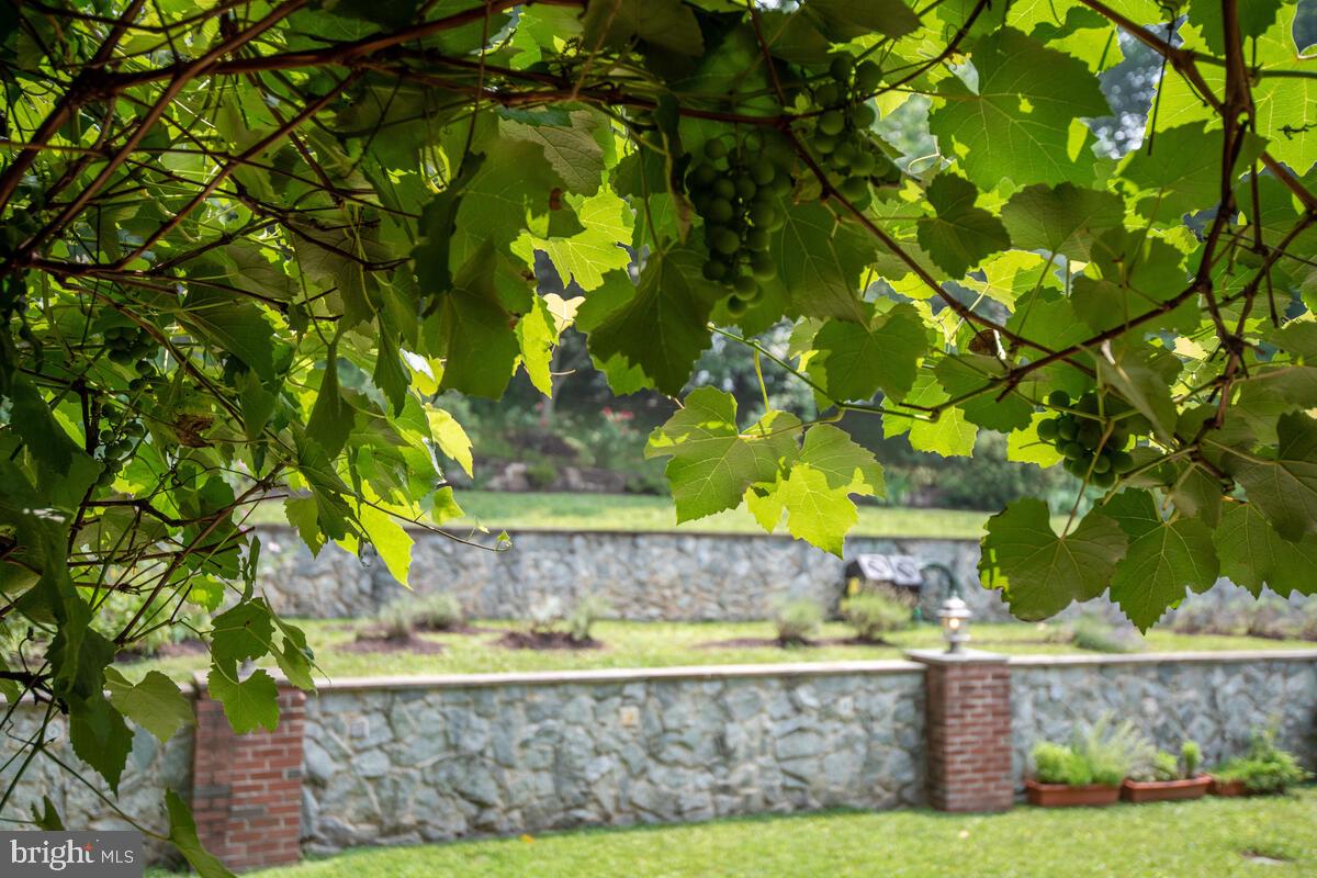 ROCK CREEK HILLS - Residential