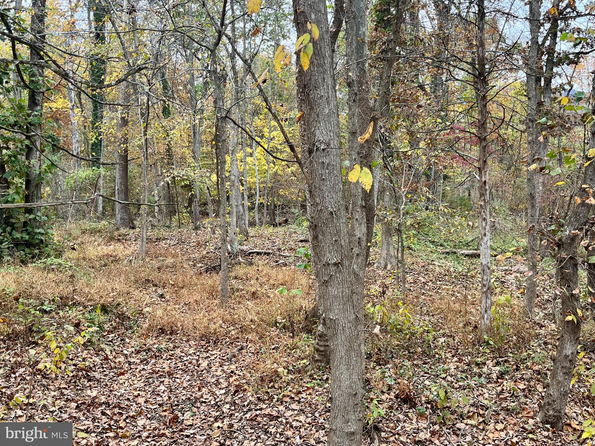 LAND OF LURAY - Land