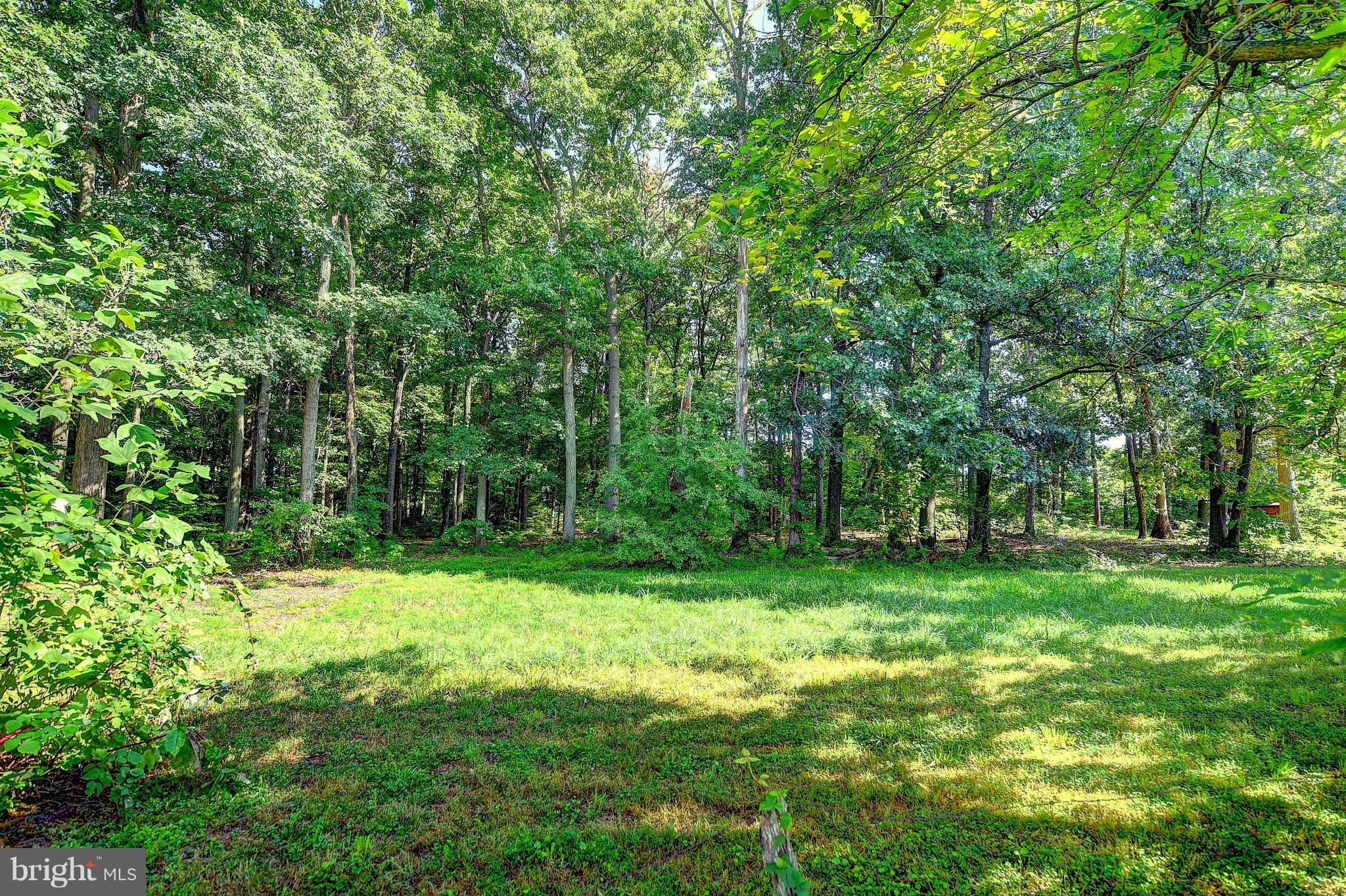 LOHR'S ORCHARD - Residential