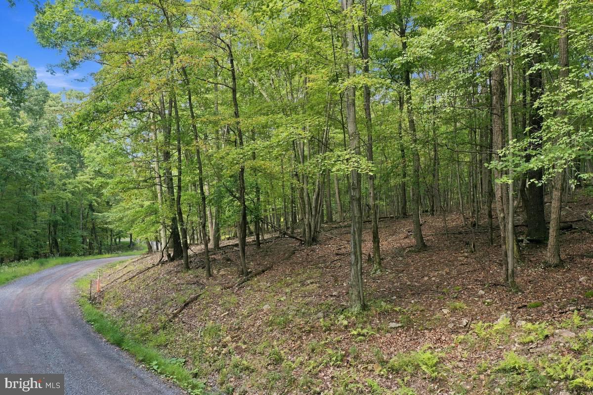 Lot 46 OLD POPLAR DRIVE