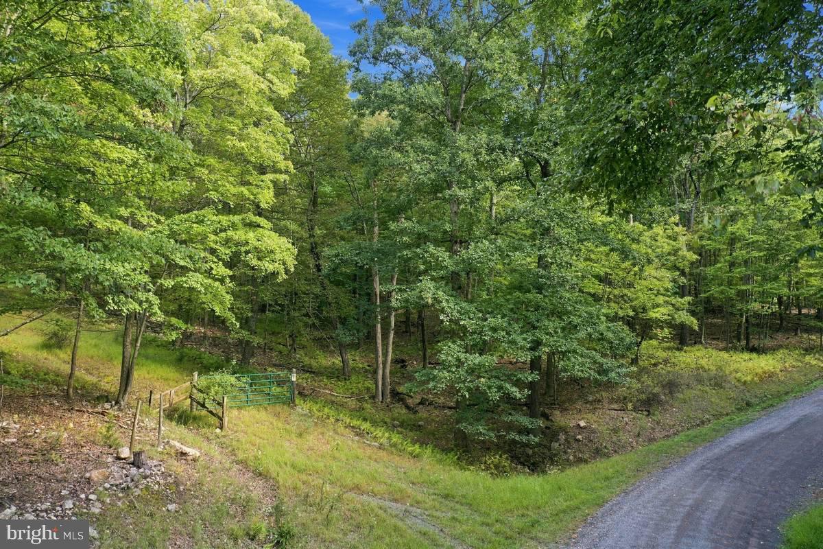 Lot 46 OLD POPLAR DRIVE