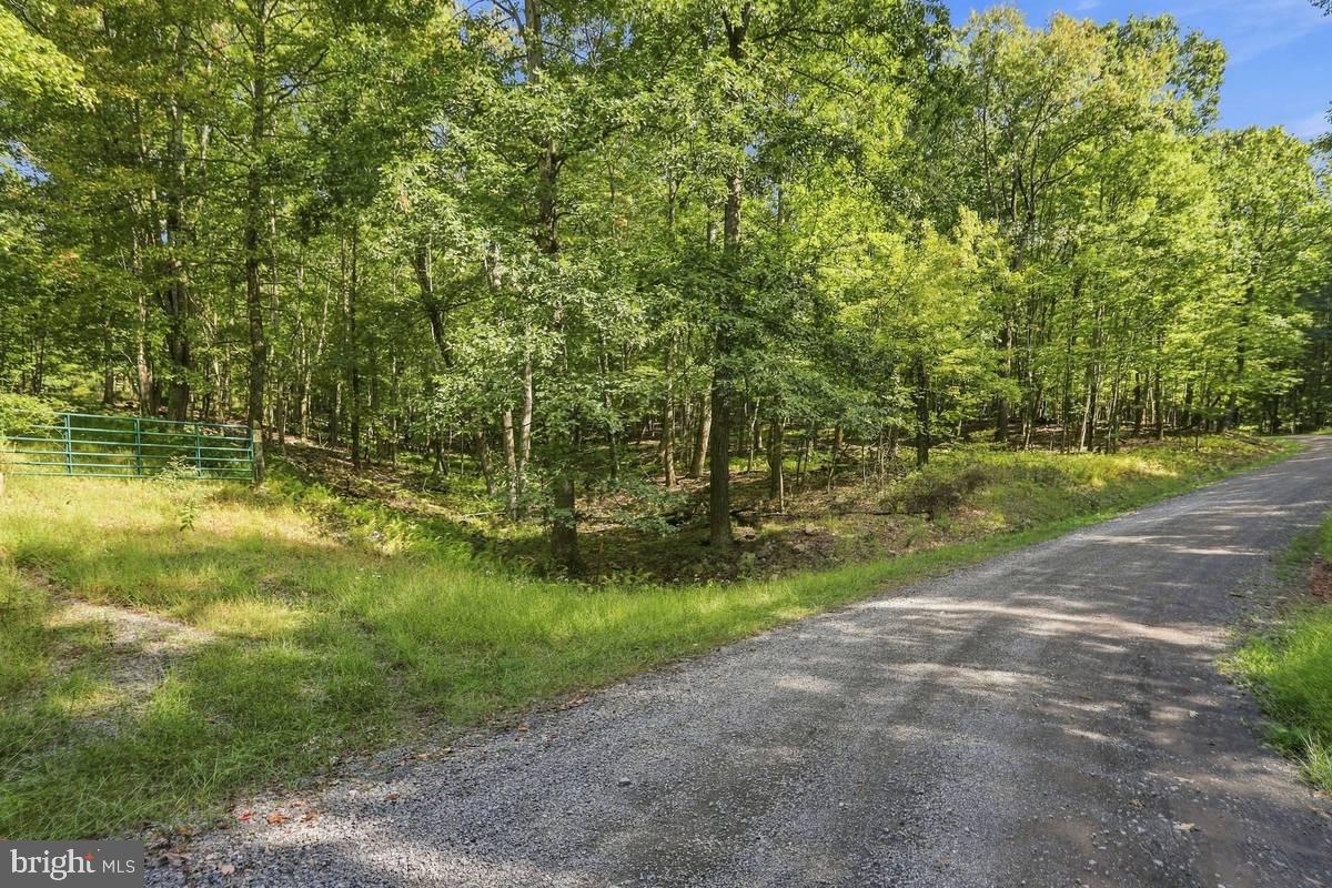 Lot 46 OLD POPLAR DRIVE