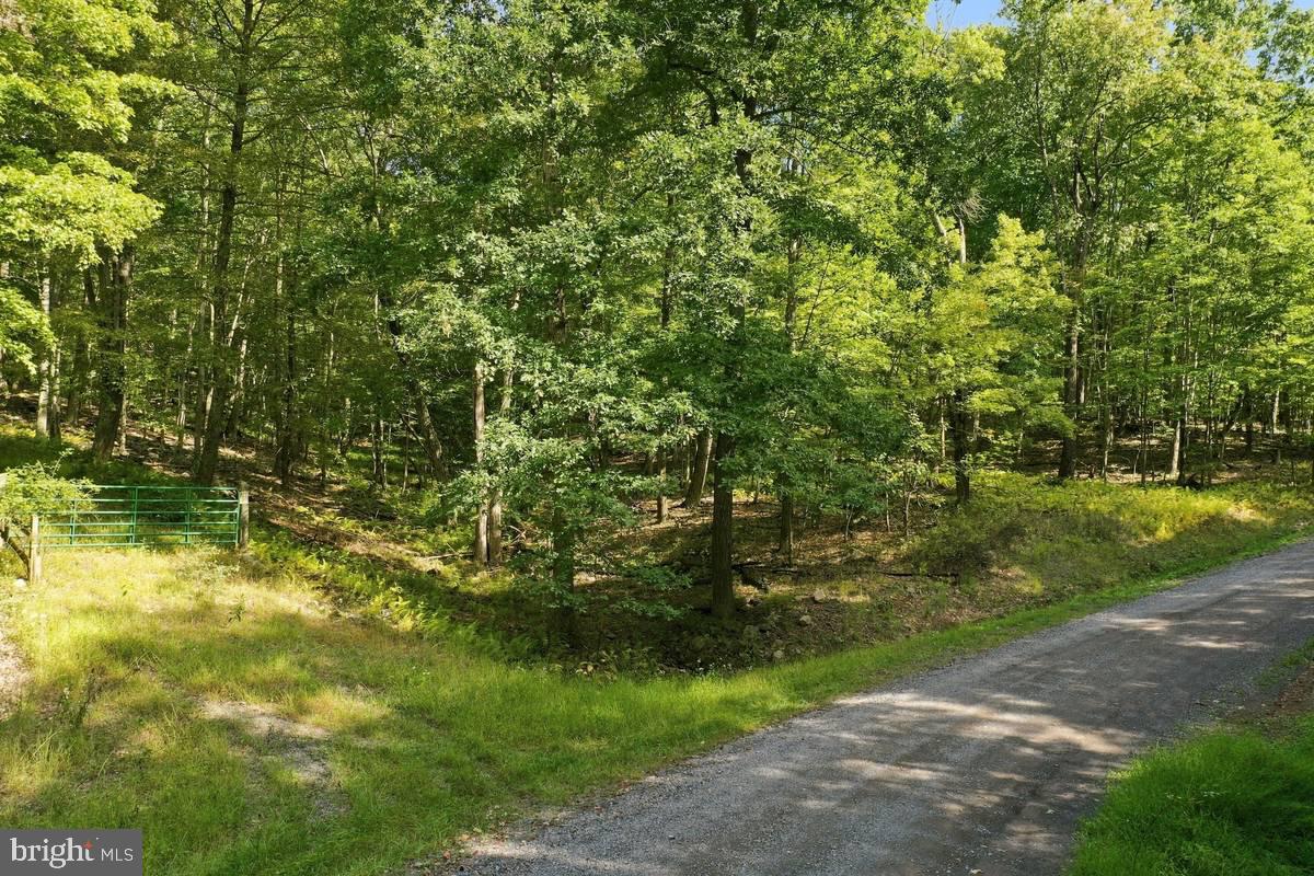 Lot 46 OLD POPLAR DRIVE