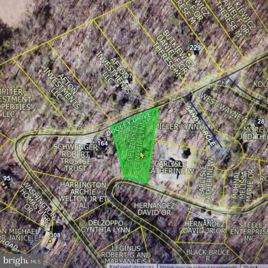 Build your dream mountain retreat on this beautiful vacant homesite located in the heart of Bryce Mountain Resort! Nestled in the scenic Shenandoah Valley, this lot offers the perfect opportunity to create a custom getaway or full-time residence surrounded by nature, fresh mountain air, and year-round recreation.

Enjoy close proximity to Bryce Resort amenities, including skiing, snowboarding, mountain biking, golf, ziplining, and the popular Lake Laura for swimming, kayaking, and paddleboarding. Whether you envision a cozy cabin, modern chalet, or investment vacation rental, this lot provides the ideal setting for both relaxation and adventure.

The property offers easy access to resort roads while still maintaining privacy and peaceful wooded views. Conveniently located just a short drive from Washington, DC, Northern Virginia, and major commuter routes—making weekend escapes effortless.

Don’t miss this chance to own land in one of Virginia’s most sought-after four-season resort communities—where every day feels like a vacation