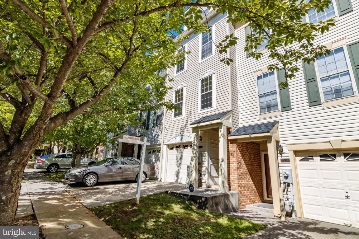 OWINGS MILLS NEW TOWN - Residential