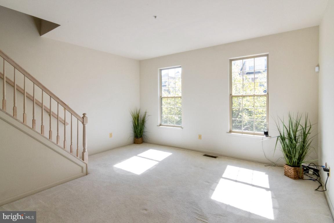 OWINGS MILLS NEW TOWN - Residential