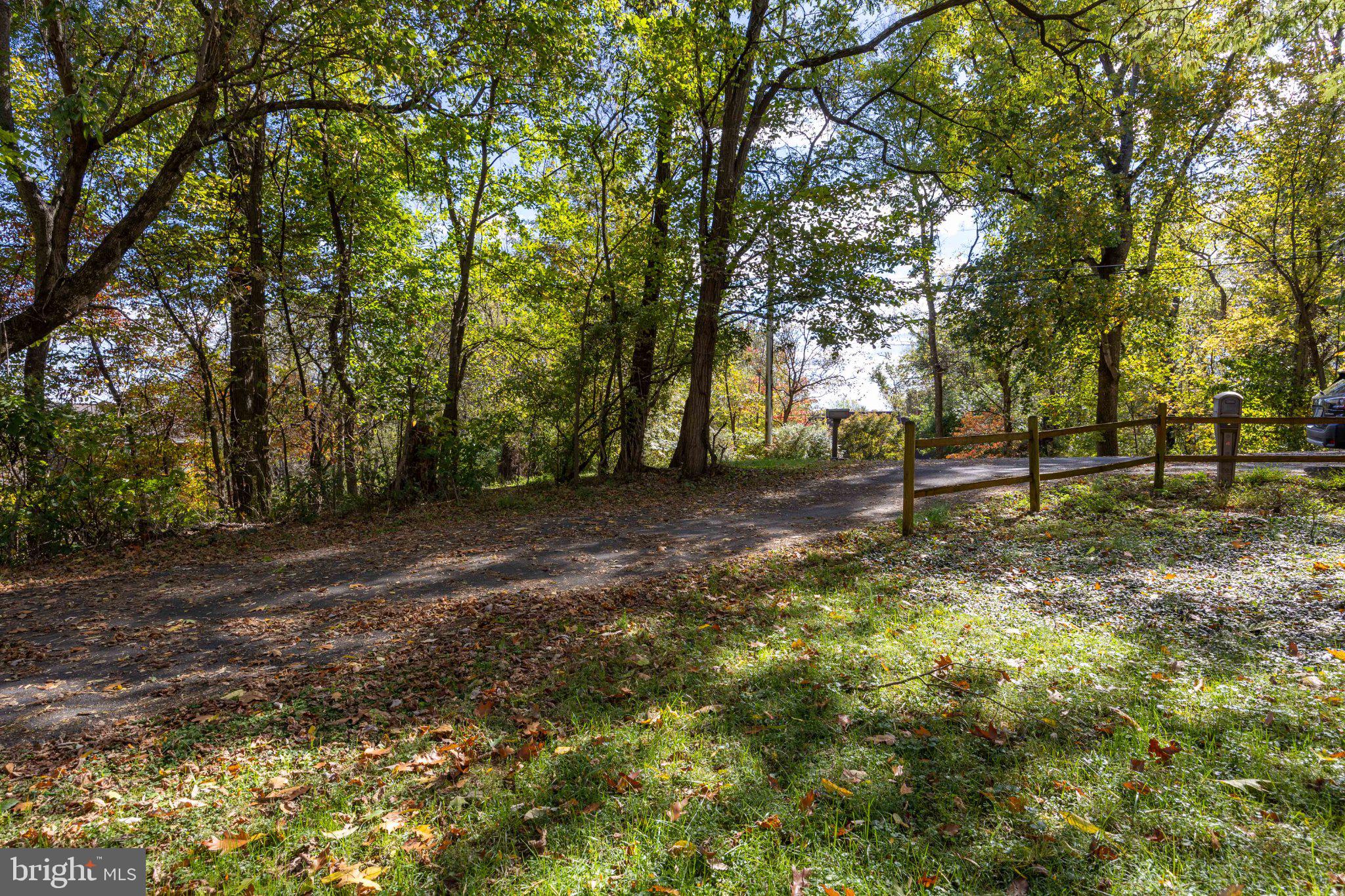 205 CHESLEY DRIVE