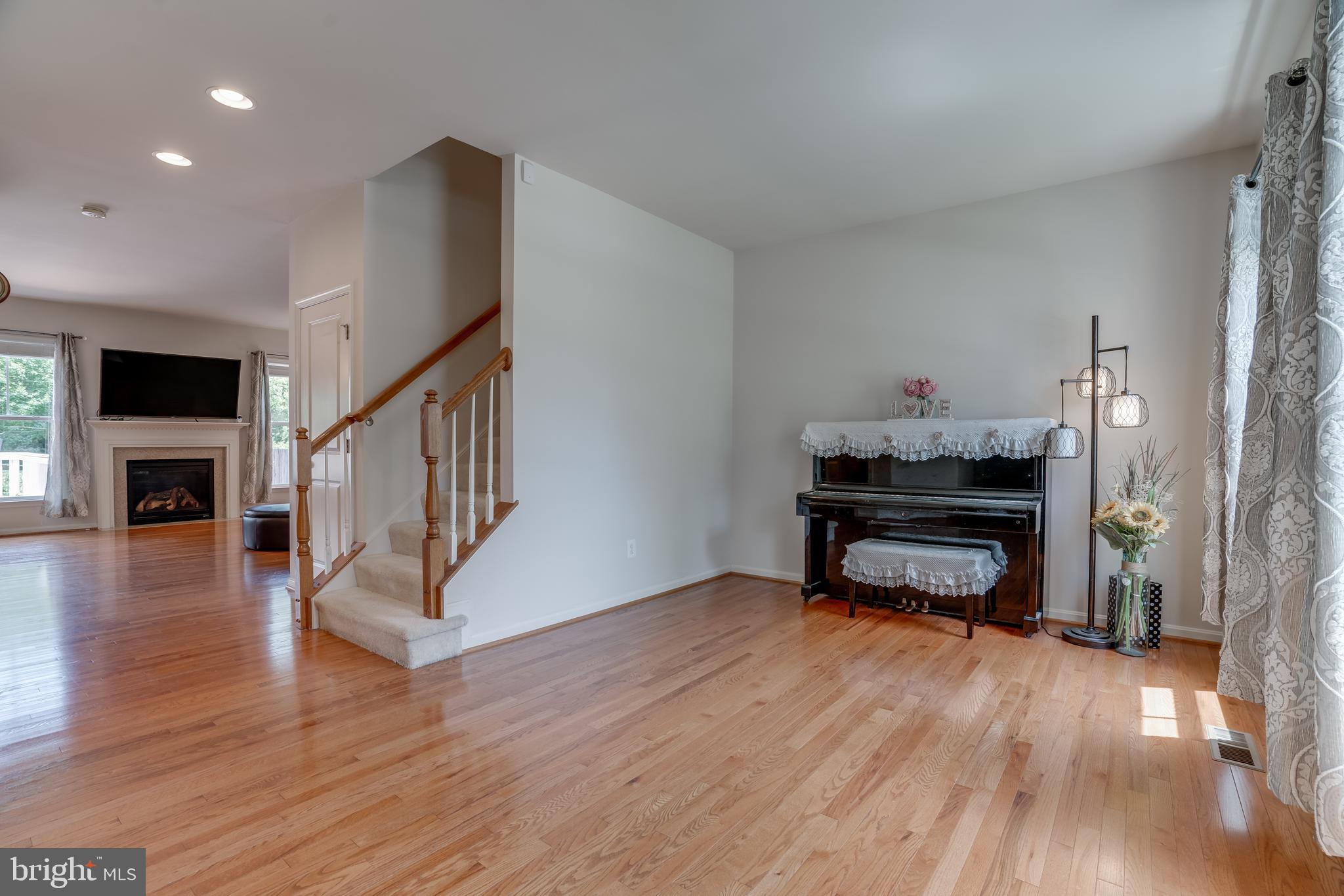 11256 MASTIFF RUN COURT