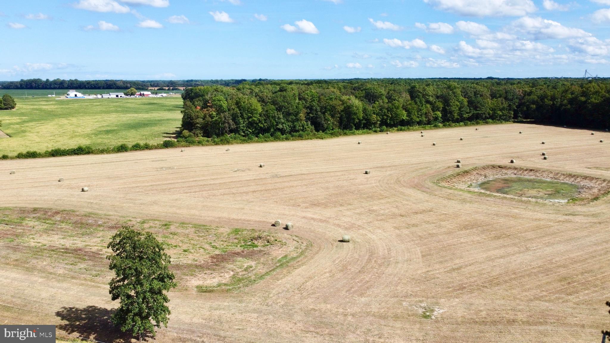 HOPKINS CEMETERY RD - LOT 3